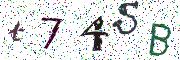 이미지 CAPTCHA