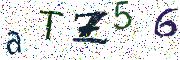 이미지 CAPTCHA